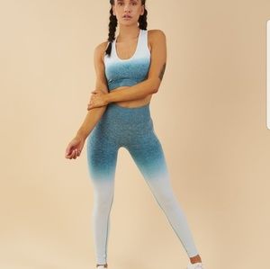 Gymshark ombre seamless leggings